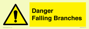 Danger Falling Branches